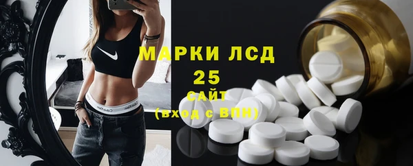 хмурый Магас