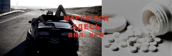 гидра Липки