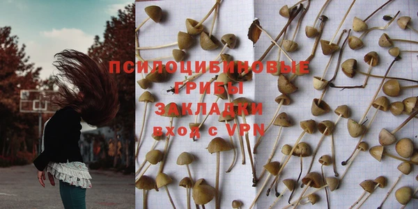 ГАЛЛЮЦИНОГЕННЫЕ ГРИБЫ Майский