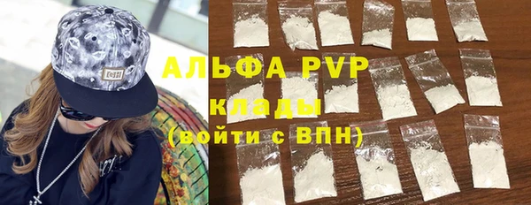 хмурый Магас