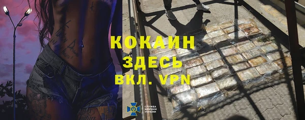 индика Алексин
