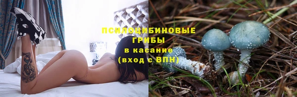 гидра Липки