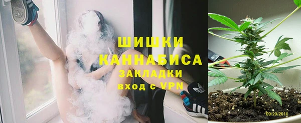 гидра Липки