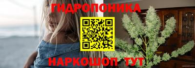 эйфоретик Коммунар