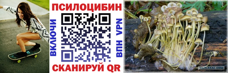 Галлюциногенные грибы мицелий  купить   Полевской 