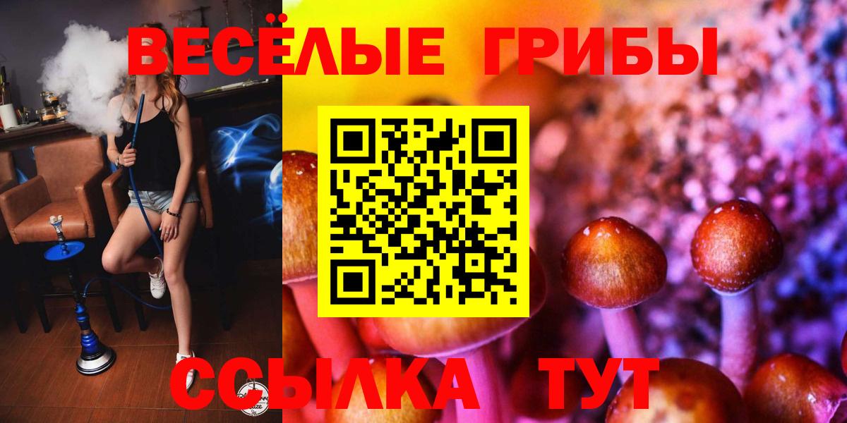 Галлюциногенные грибы мухоморы  Полевской 