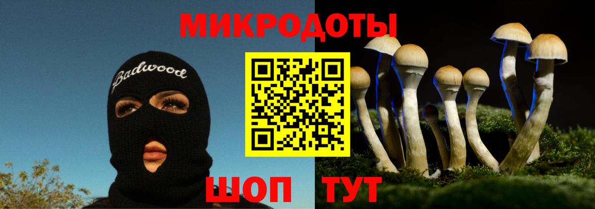 Галлюциногенные грибы мухоморы  Галлюциногенные грибы Psilocybine cubensis  Полевской  где купить наркотик  Вход с VPN 